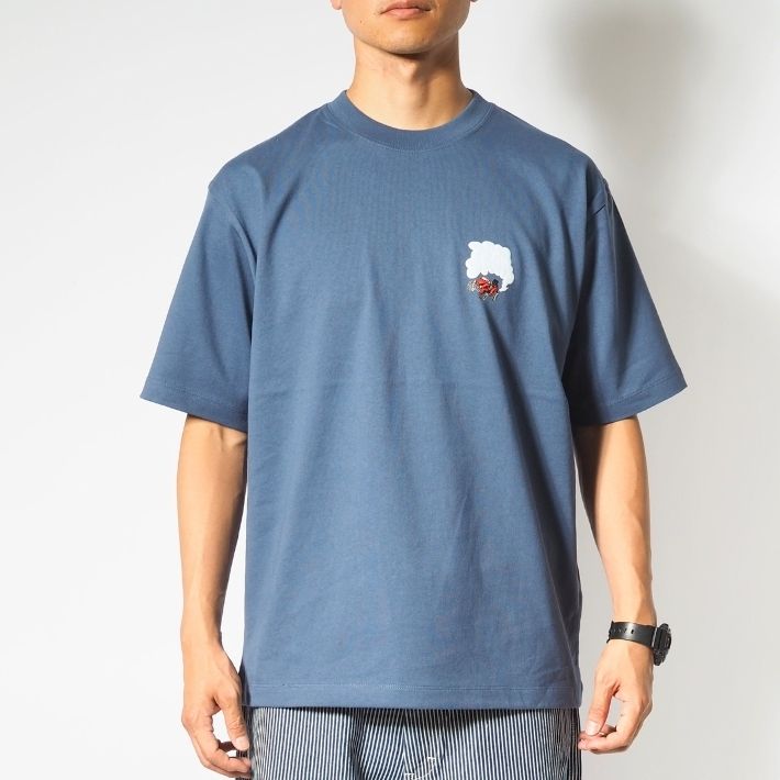 BEN DAVIS ベンデイビス Tシャツ 半袖 4WD スモーク (C-25580010)