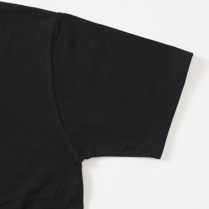 BEN DAVIS ベンデイビス ヘンリーネック Tシャツ 半袖 ワンポイント (C-26580037)