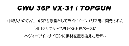 AVIREX アビレックス フライトジャケット TOPGUN CWU 36P VX-31 (783-0252039)