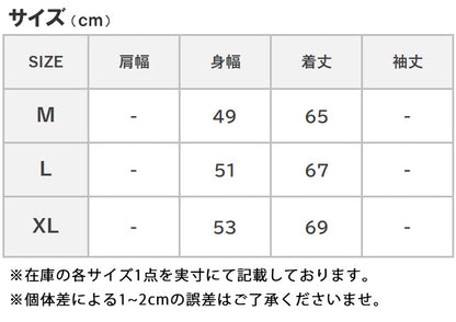 CHAMPION チャンピオン ロンT 長袖 ラグラン 胸ロゴ (C3-Y429)