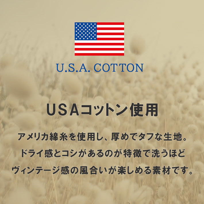 Goodwear グッドウェア ロンT 長袖 ヘンリーネック ビッグシルエット USAコットン (2W7-61206)