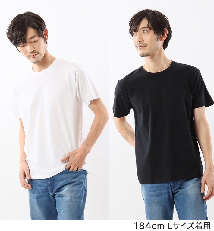 HANES ヘインズ 2パックTシャツ 半袖 2枚組 ジャパンフィット (H5310 H5320)