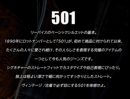 LEVIS リーバイス 501 レギュラーストレート ジーンズ (005011484)