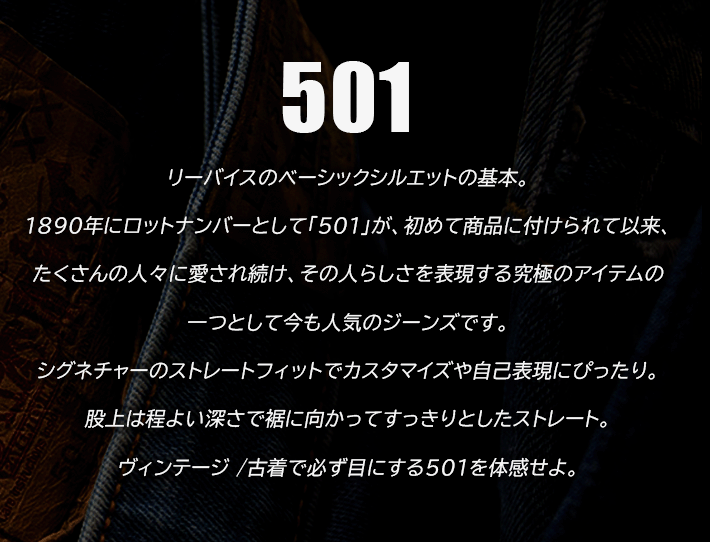 LEVIS リーバイス 501 レギュラーストレート ジーンズ (005011485)