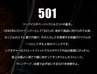 LEVIS リーバイス 501 レギュラーストレート ジーンズ (005011485)